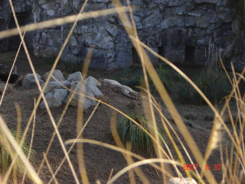 Foto de Escobar, Buenos Aires, Argentina