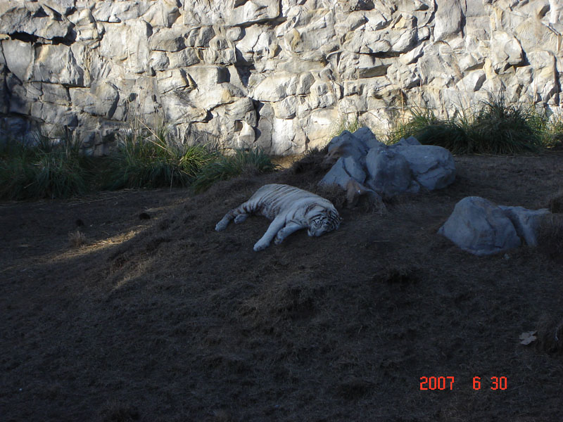 Foto de Escobar, Buenos Aires, Argentina