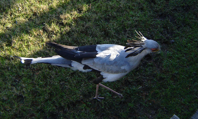 Foto de Escobar, Buenos Aires, Argentina