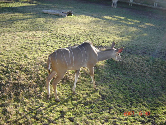 Foto de Escobar, Buenos Aires, Argentina
