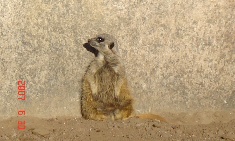 Foto de Escobar, Buenos Aires, Argentina