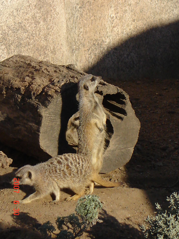 Foto de Escobar, Buenos Aires, Argentina