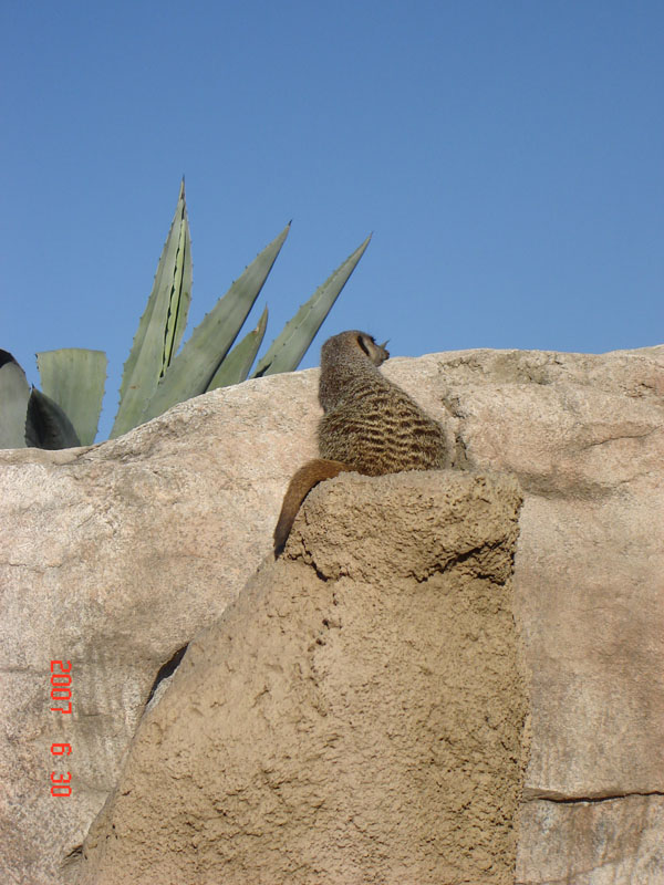 Foto de Escobar, Buenos Aires, Argentina