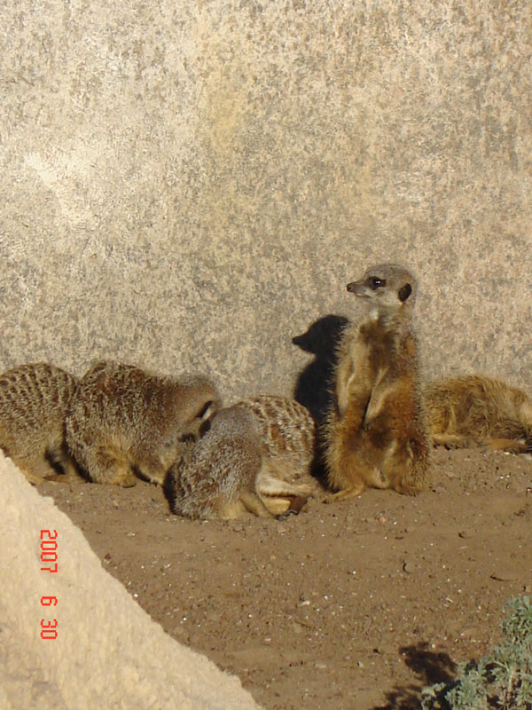 Foto de Escobar, Buenos Aires, Argentina