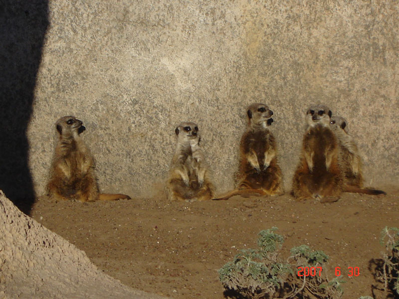 Foto de Escobar, Buenos Aires, Argentina