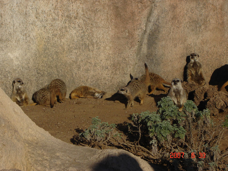 Foto de Escobar, Buenos Aires, Argentina