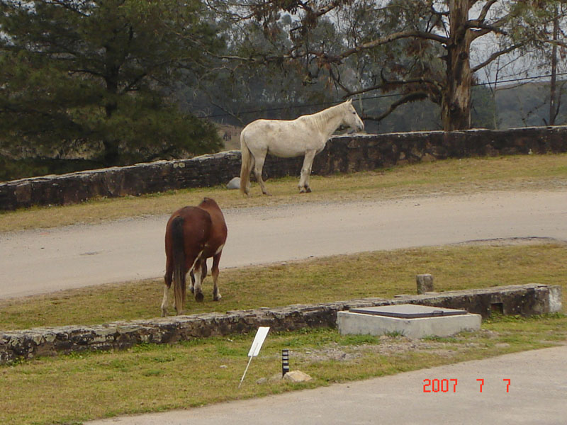 Foto de San Javier - Tucumàn, Argentina