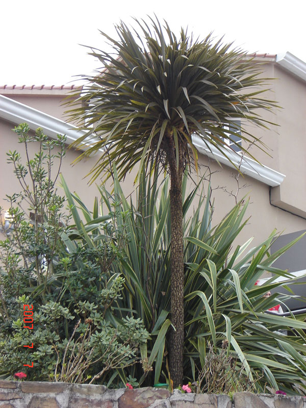 Foto de San Javier - Tucumàn, Argentina