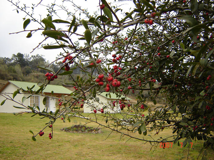 Foto de San Javier - Tucumàn, Argentina