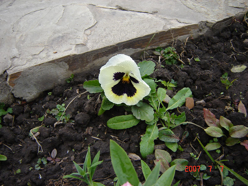 Foto de San Javier - Tucumàn, Argentina