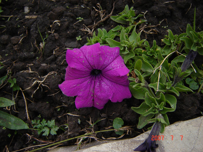 Foto de San Javier - Tucumàn, Argentina