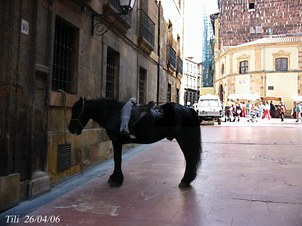 Foto de Oviedo (Asturias), España