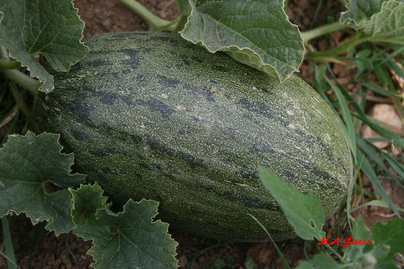 Foto de Respenda de la Peña (Palencia), España