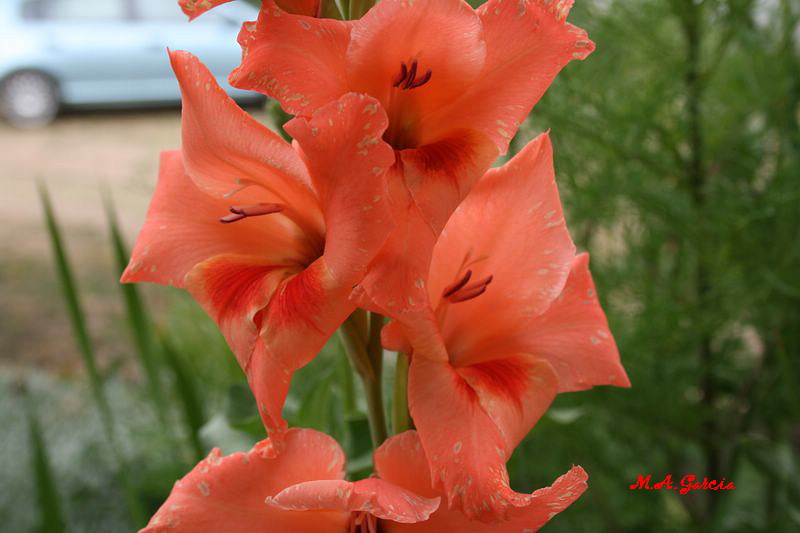 Foto de Respenda de la Peña (Palencia), España