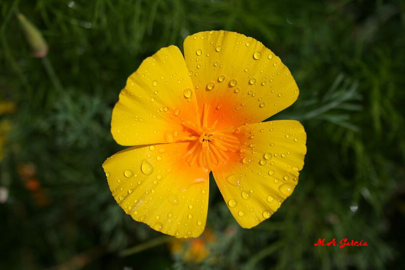 Foto de Respenda de la Peña (Palencia), España