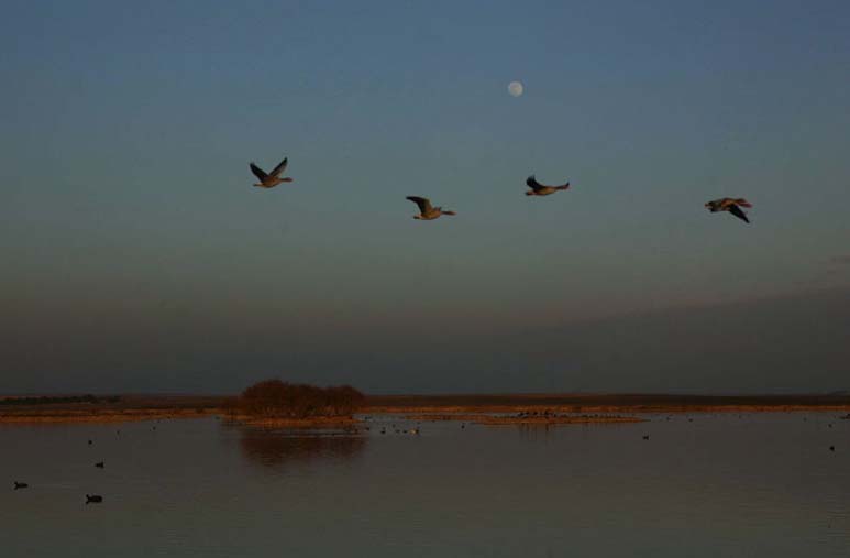 Foto de Villafáfila (Zamora), España