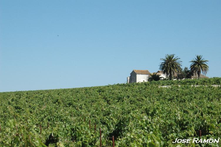 Foto de Jerez de la Frontera (Cádiz), España