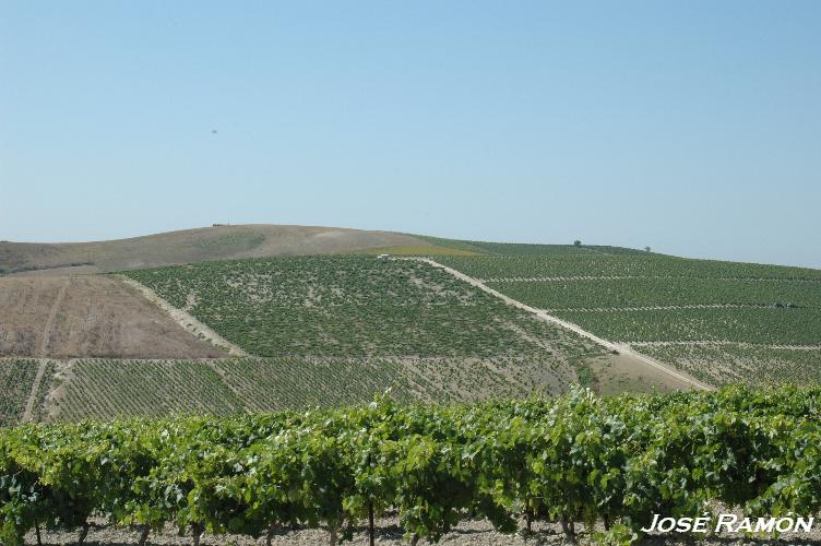 Foto de Jerez de la Frontera (Cádiz), España