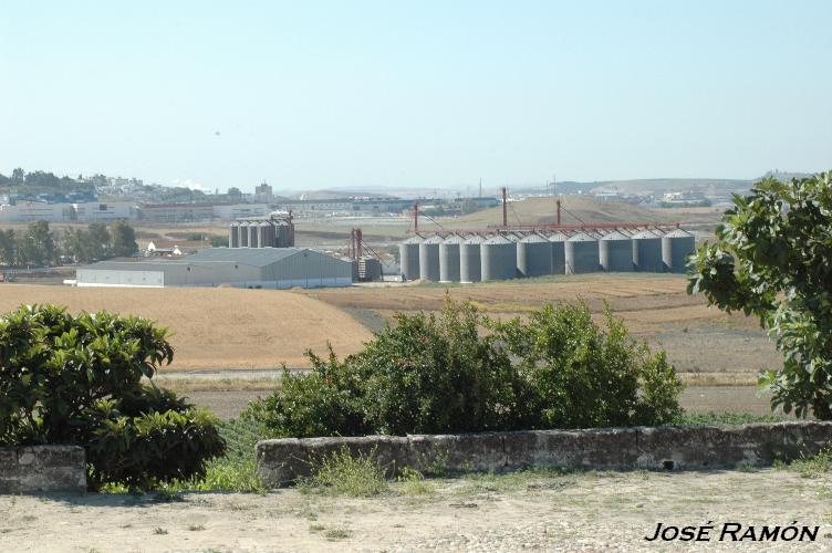Foto de Jerez de la Frontera (Cádiz), España
