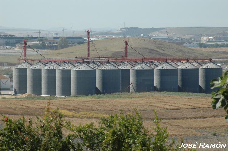 Foto de Jerez de la Frontera (Cádiz), España