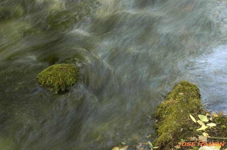 Foto de Benamahoma (Cádiz), España