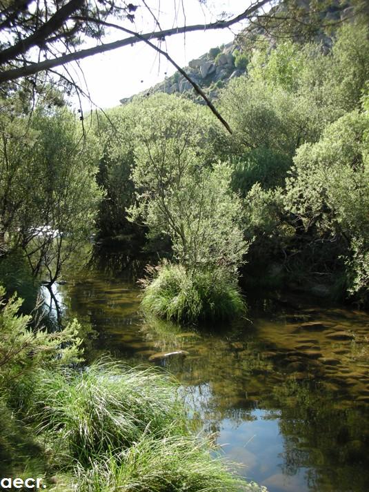 Foto de Manzanares el Real (Madrid), España
