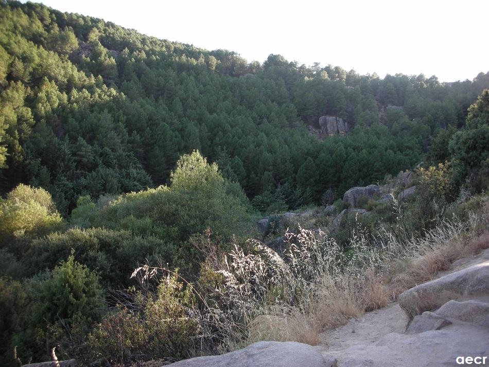 Foto de Manzanares el Real (Madrid), España