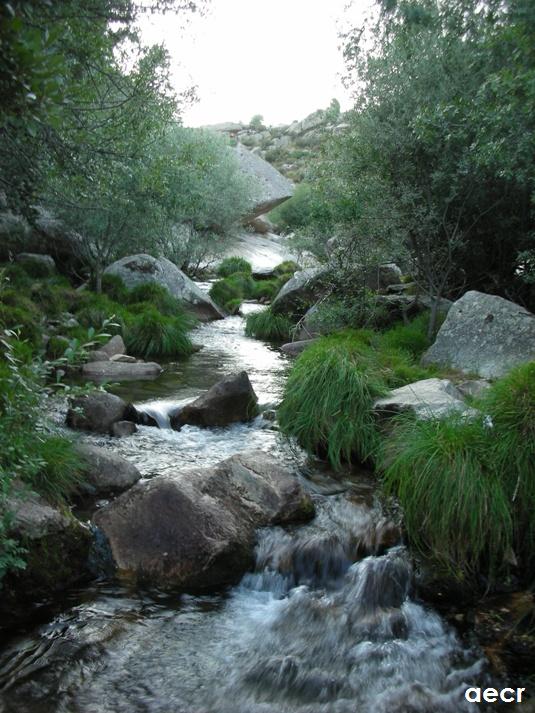 Foto de Manzanares el Real (Madrid), España