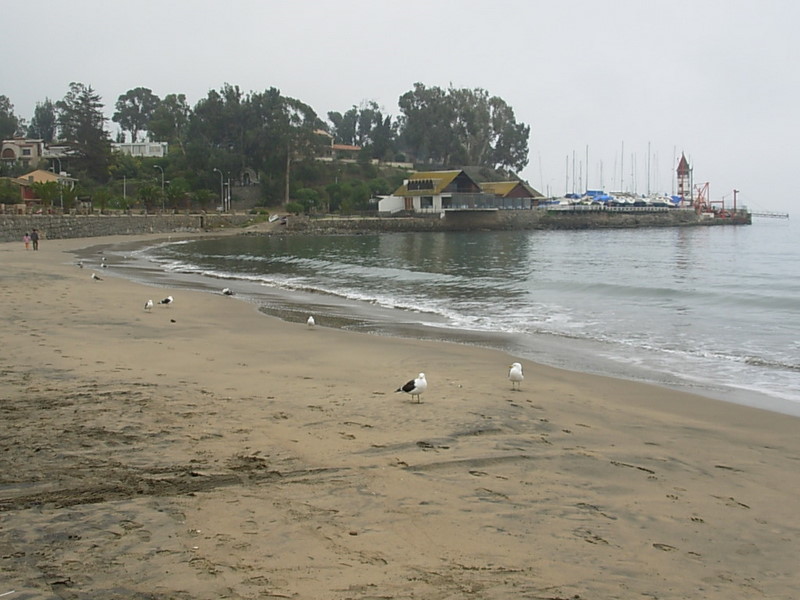 Foto de Papudo, Chile
