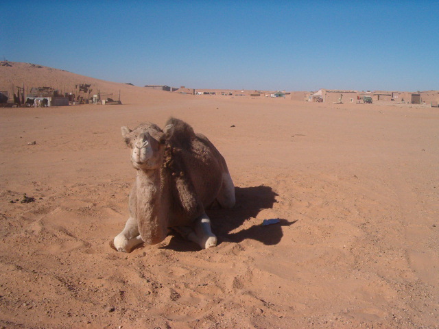 Foto de Tinduf - Argelia, 