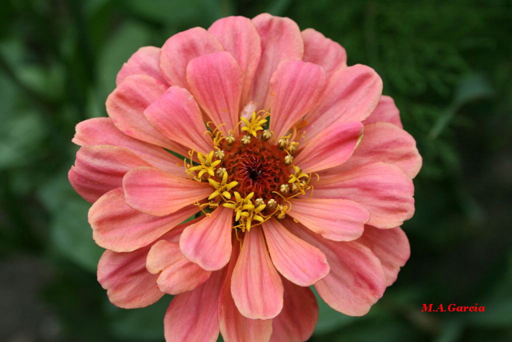 Foto de Respenda de la Peña (Soria), España