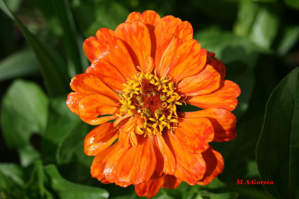 Foto de Respenda de la Peña (Soria), España