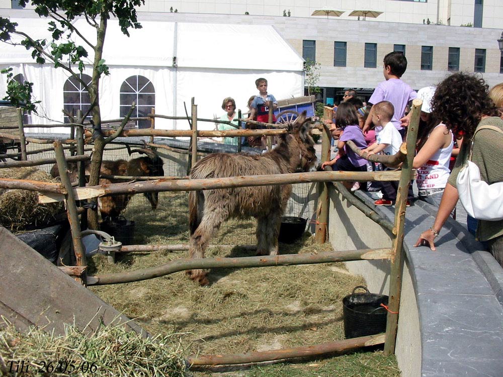 Foto de Oviedo (Asturias), España