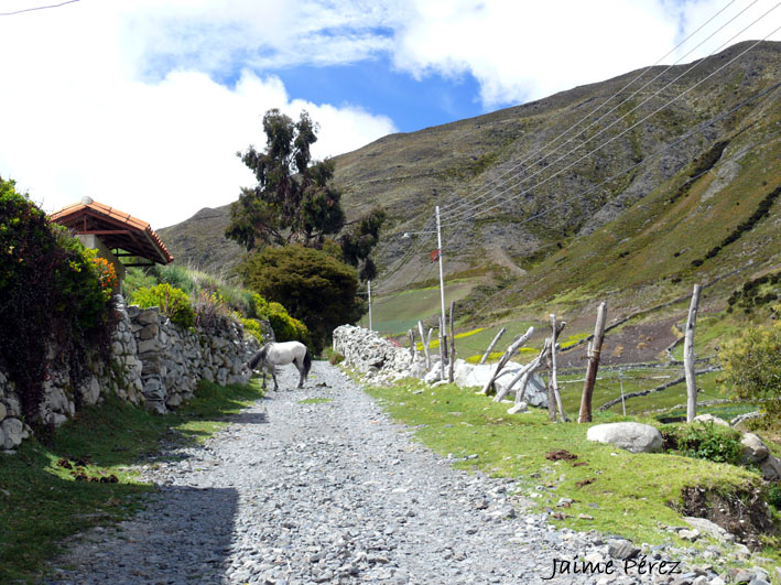 Foto de Páramo Andino, Venezuela
