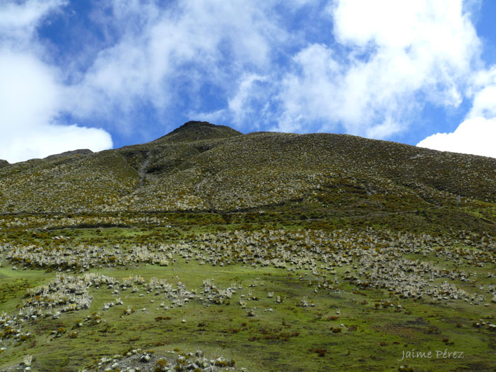 Foto de Páramo Andino, Venezuela