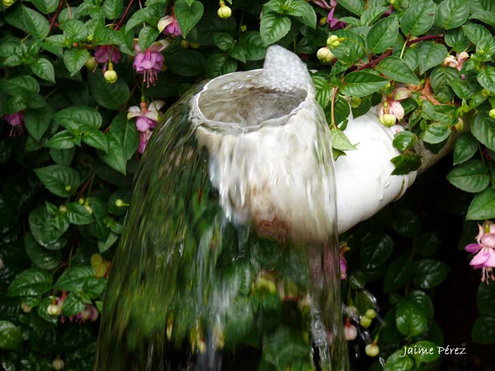 Foto de Páramo Andino, Venezuela