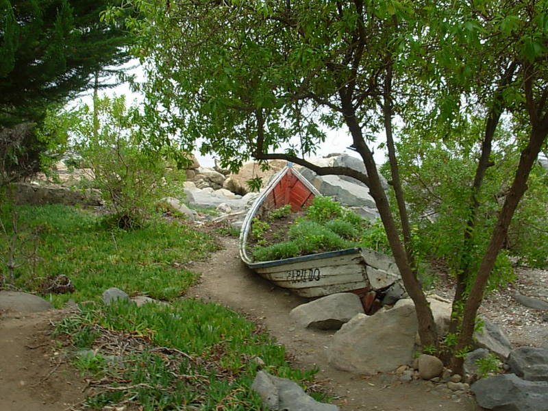 Foto de Papudo, Chile