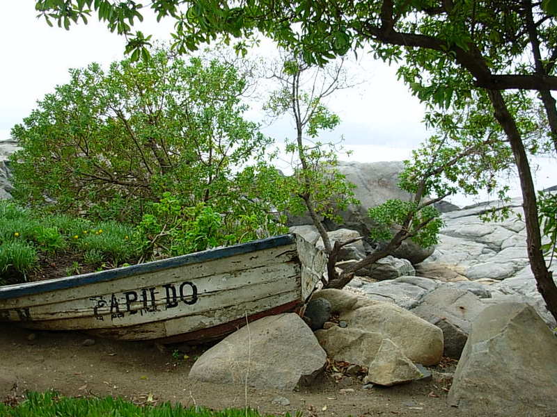 Foto de Papudo, Chile