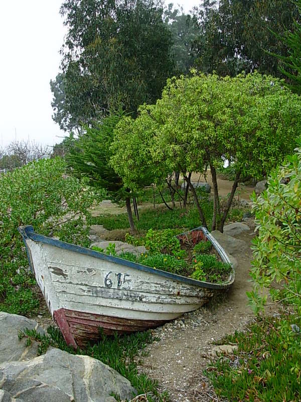 Foto de Papudo, Chile