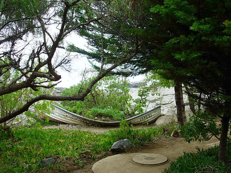 Foto de Papudo, Chile