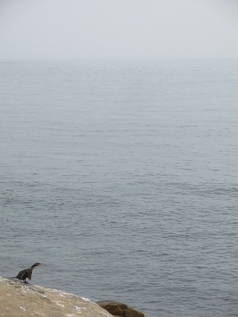 Foto de Papudo, Chile