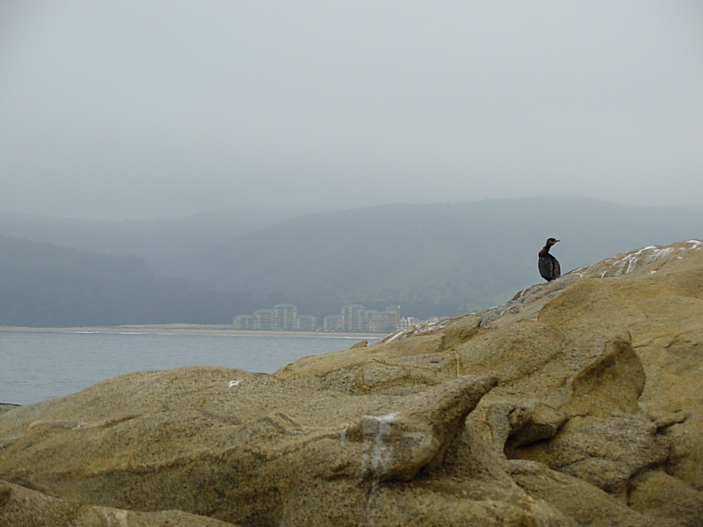 Foto de Papudo, Chile