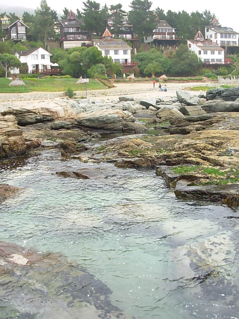 Foto de Papudo, Chile