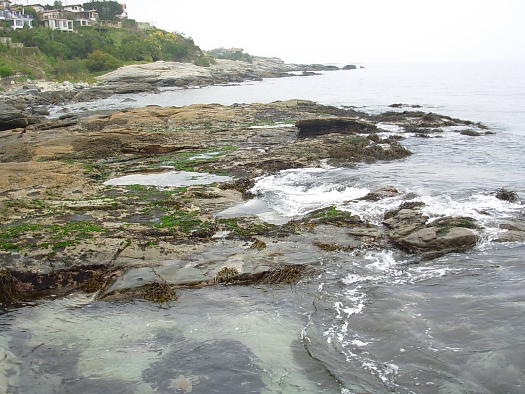 Foto de Papudo, Chile