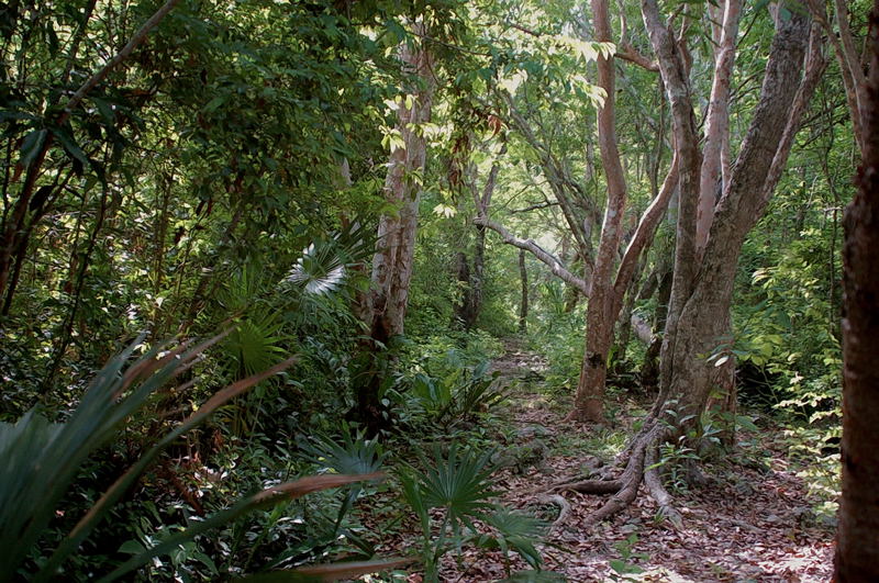 Foto de Muyil, México