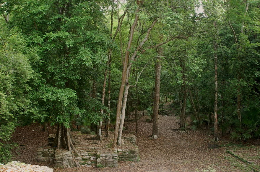 Foto de Muyil, México