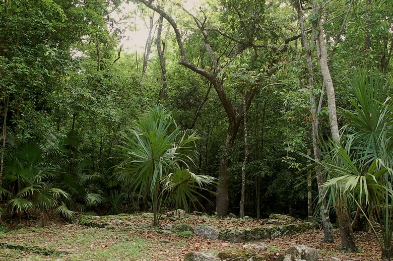 Foto de Muyil, México