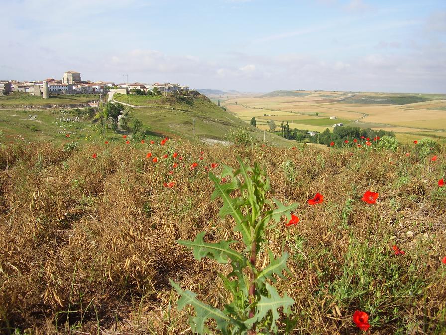 Foto de Peñaflor de Hornija (Valladolid), España
