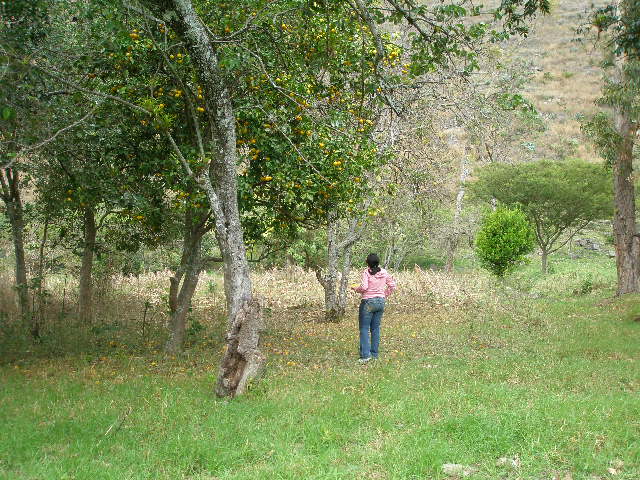 Foto de Cutervo, Perú