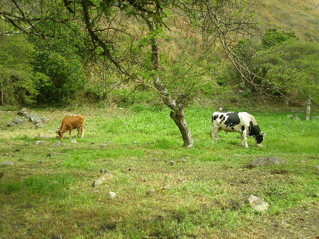 Foto de Cutervo, Perú